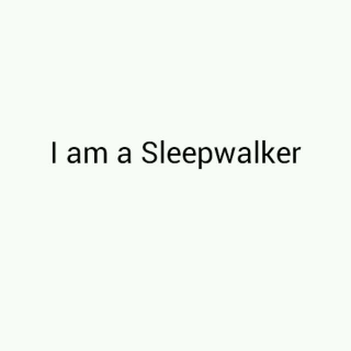 Adam Lembert——Sleepwalker