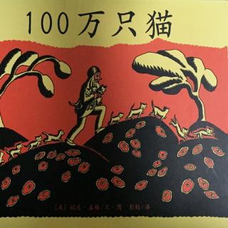 100万只猫—致远妈妈