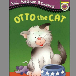 Otto the Cat