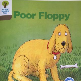 Poor Floppy