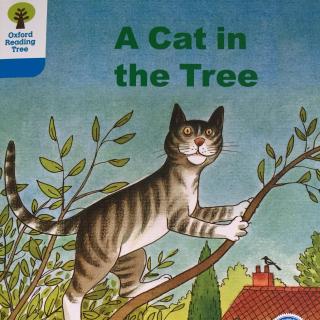 A Cat in the Tree