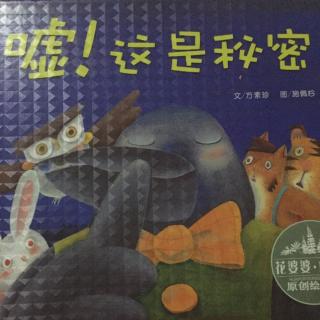 《嘘，这是秘密》------子迎讲故事