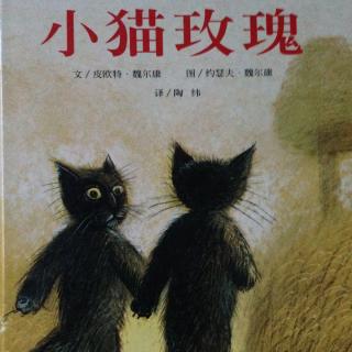 《小猫玫瑰》——皮欧特•魏尔康