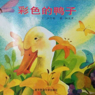 幸福的种子《彩色的鸭子》