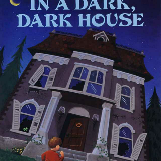 In a Dark, Dark House