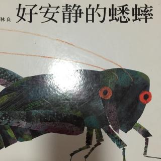 艾瑞·卡尔绘本故事—《好安静的蟋蟀》