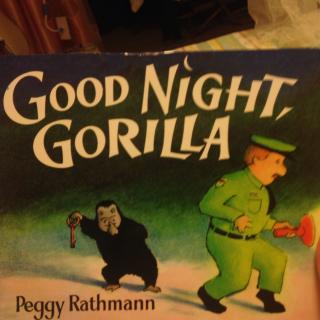 Good night，Gorilla