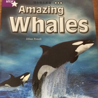 amazing whales