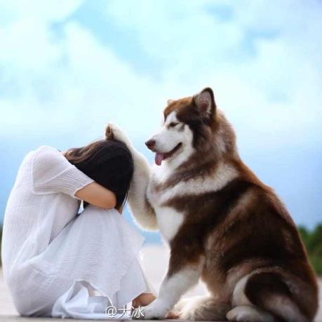 【43】乖,摸摸头.