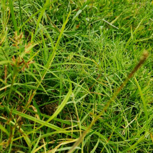 抑或就这么被现实的烈阳蒸发掉了,点滴不剩.