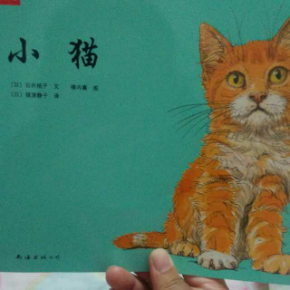 绘本故事《小猫》