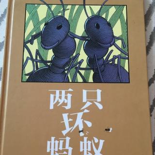 2号巩沛东的妈妈《两只坏蚂蚁》