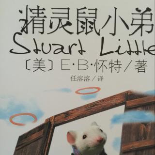 精灵鼠小弟46