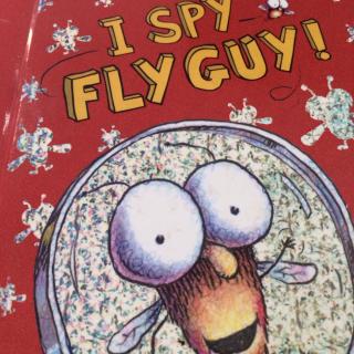I spy fly guy！