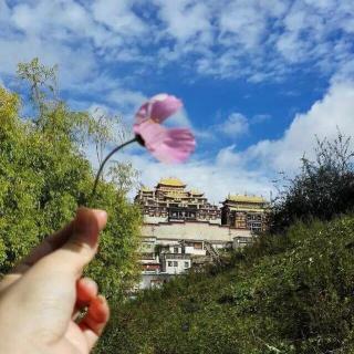 说走就走的川藏记忆——西藏の旅行故事