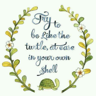 a smart turtle