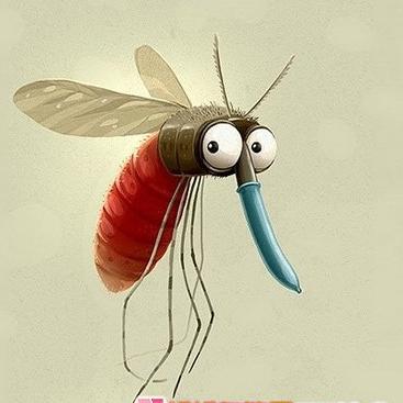 三国蚊子——王少东