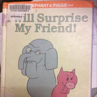 I will surprise my friend！