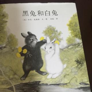 20151023193117绘本故事：《黑兔🐰和白兔🐇》