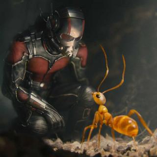 026 英雄不問大小《蟻俠 / Ant-Man》