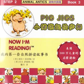 第1⃣️期- Book 3⃣️- 词汇拼读- pig/ wig/ big/ jigs