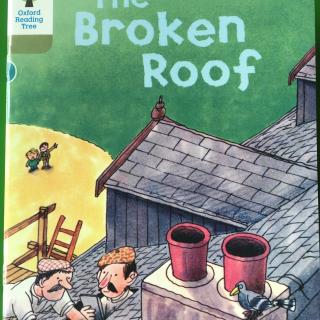 The broken Roof