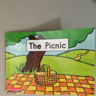 the picnic海尼曼