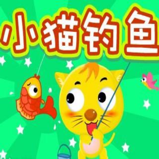 小猫🐱钓鱼🎣