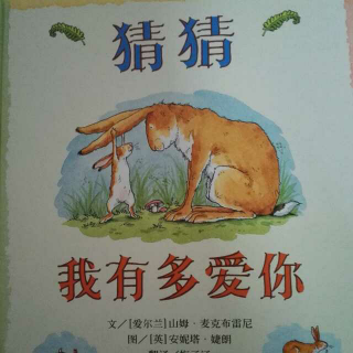 猜猜我有多爱你