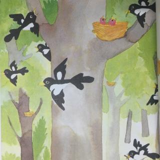儿童散文诗-树和喜鹊