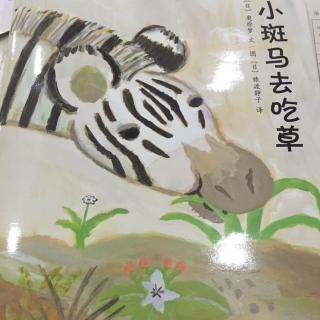 小斑马去吃草