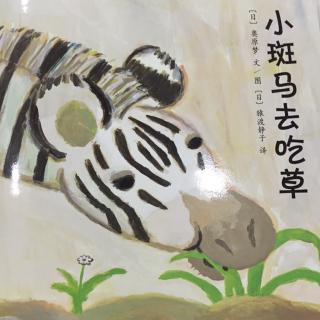 小斑马去吃草