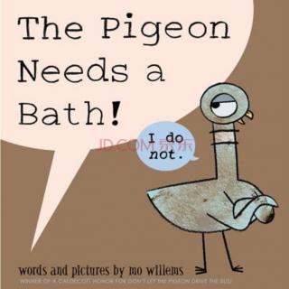鸽子需要洗澡澡－The Pigeon Needs A Bath