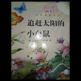 追赶太阳☀的小白鼠🐭