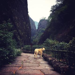 聶魯達 「我喜歡你是寂靜的」|朗讀者：楊吾心