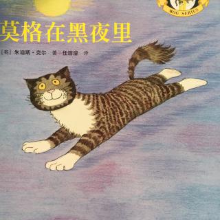 莫格在黑夜里