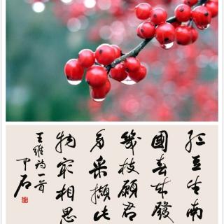 伴你入梦《红豆生南国，春来发几枝》作者:安意如 主播:巫师