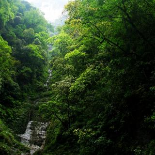 人间雨的古琴《天闻阁•流水》