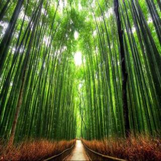 【日语美文】雨にもまけず