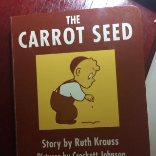 The carrot seed