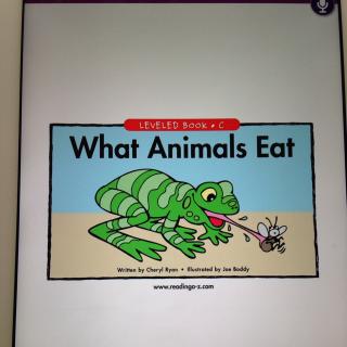 what animals eat