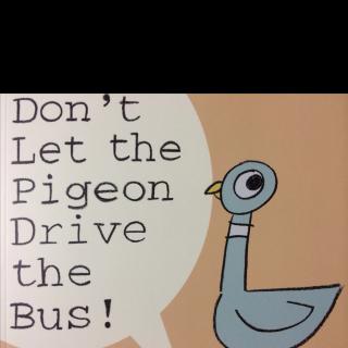 Don't Let the Pigeon Driver the Bus