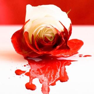 《玫瑰雪藏了带血的刺》 作者：杜劲松 朗诵：左罗  
