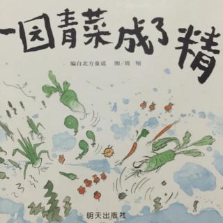 【绘本故事26】一园青菜成了精