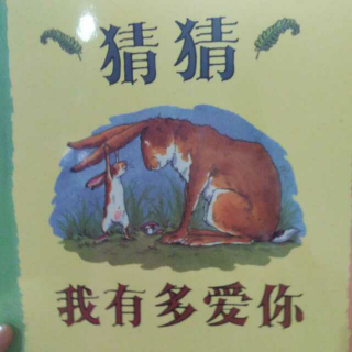 《猜猜我有多爱你》