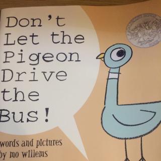 Don’t let the pigeon drive the bus 别让鸽子开巴士！