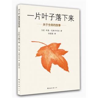 清明节专辑-《一片叶子落下来》