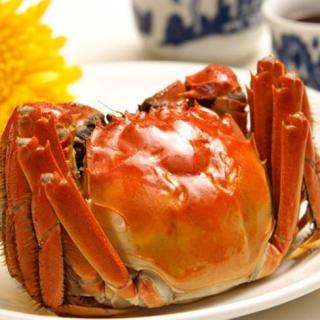 德拉|少儿百科004：虾和螃蟹煮熟了为什么会变红？
