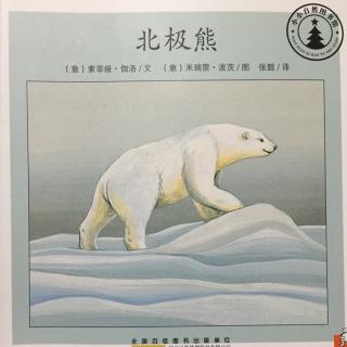 小小自然图书馆-北极熊