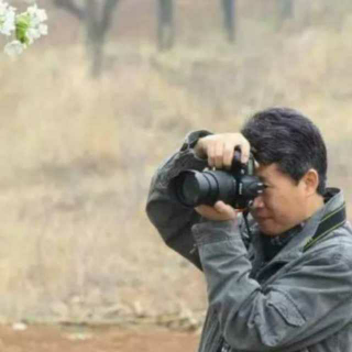 《栗花》王金保